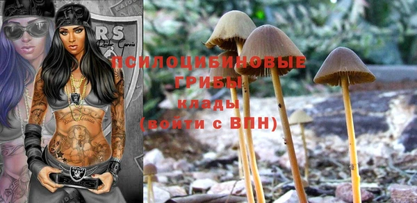 каннабис Богданович