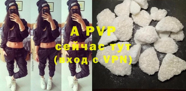 СК Богородицк