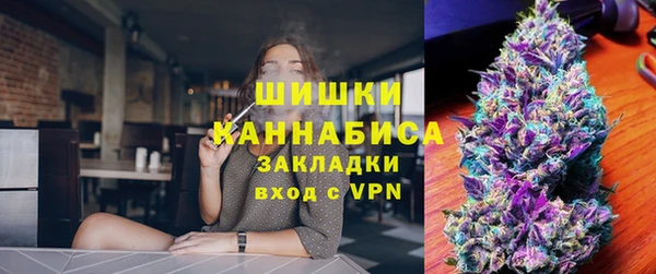 ГАЛЛЮЦИНОГЕННЫЕ ГРИБЫ Бородино