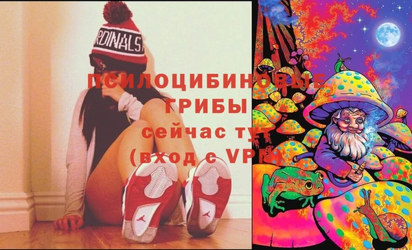 каннабис Богданович